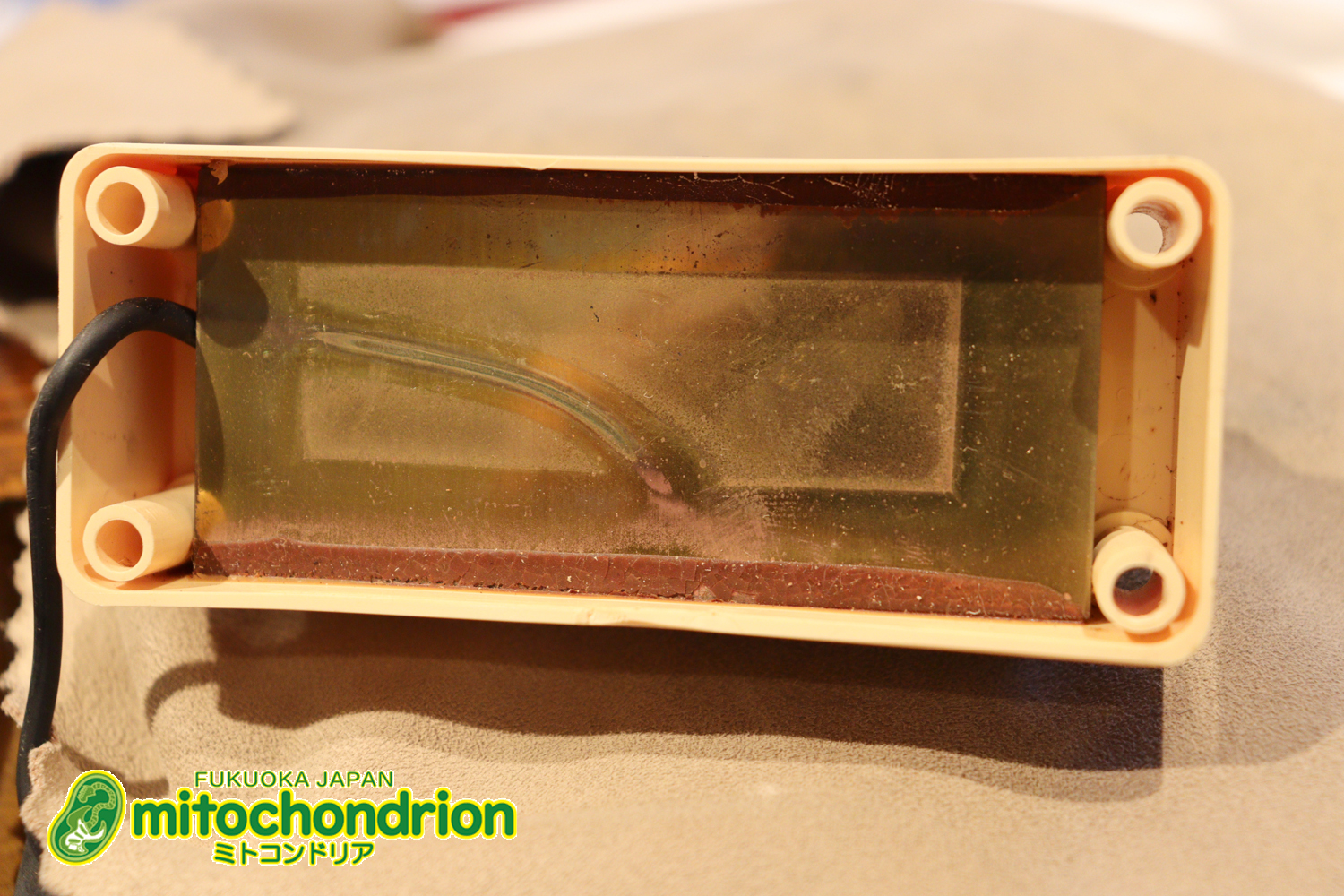 懐かしい、CSB-450！ミディアムスケースの1ピックアップ！