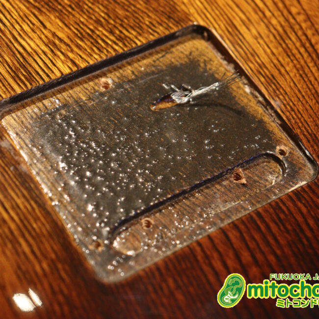 懐かしい、CSB-450！ミディアムスケースの1ピックアップ！