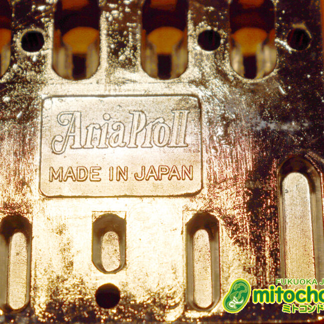 懐かしい、CSB-450！ミディアムスケースの1ピックアップ！