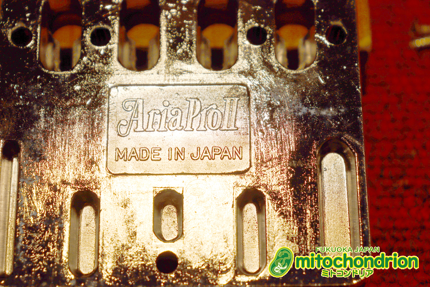 懐かしい、CSB-450！ミディアムスケースの1ピックアップ！