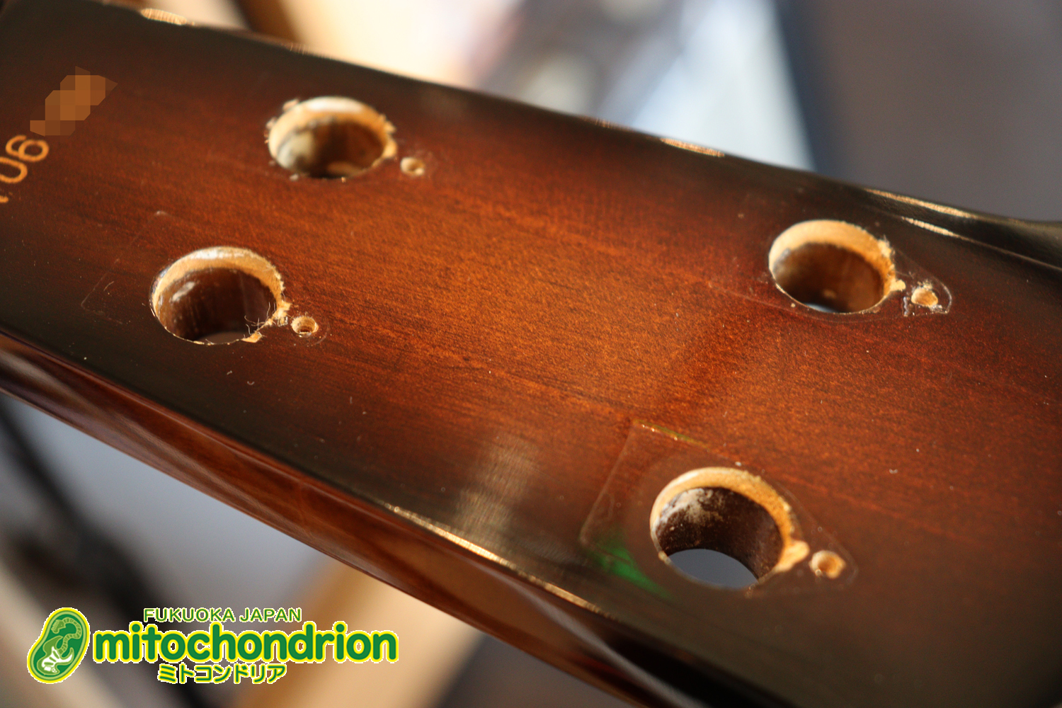 懐かしい、CSB-450！ミディアムスケースの1ピックアップ！