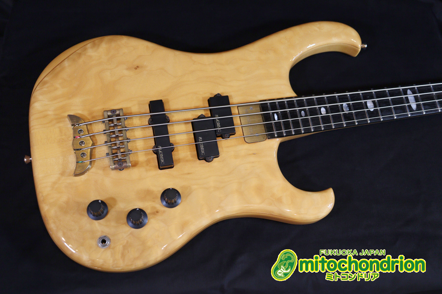 さすがのコストパフォーマンス！弾きやすさ、サウンドは抜群です！