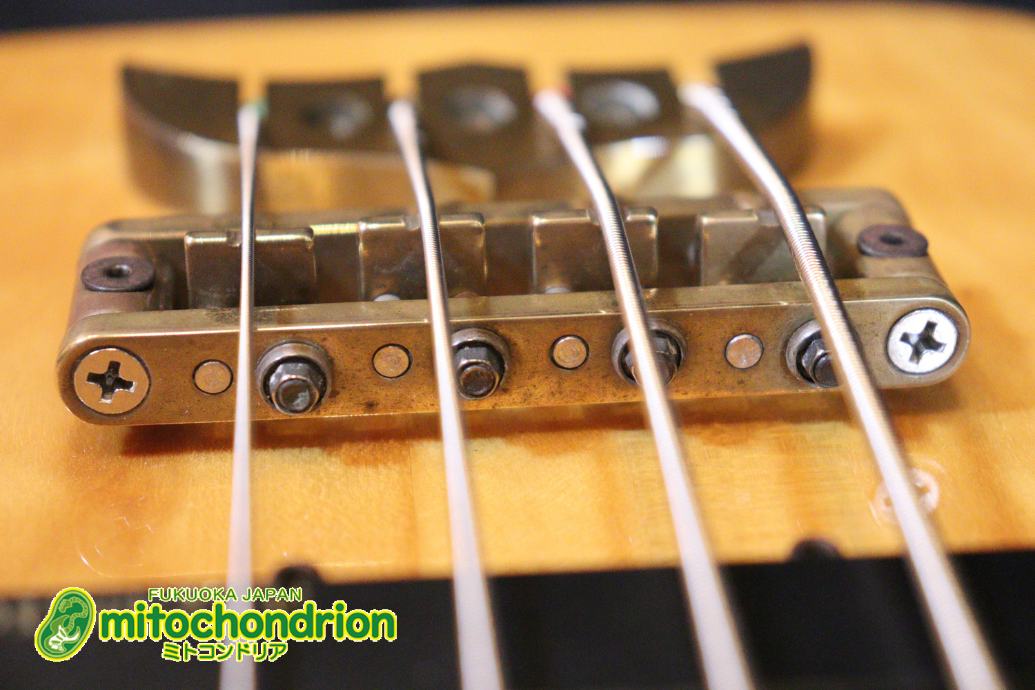 さすがのコストパフォーマンス！弾きやすさ、サウンドは抜群です！