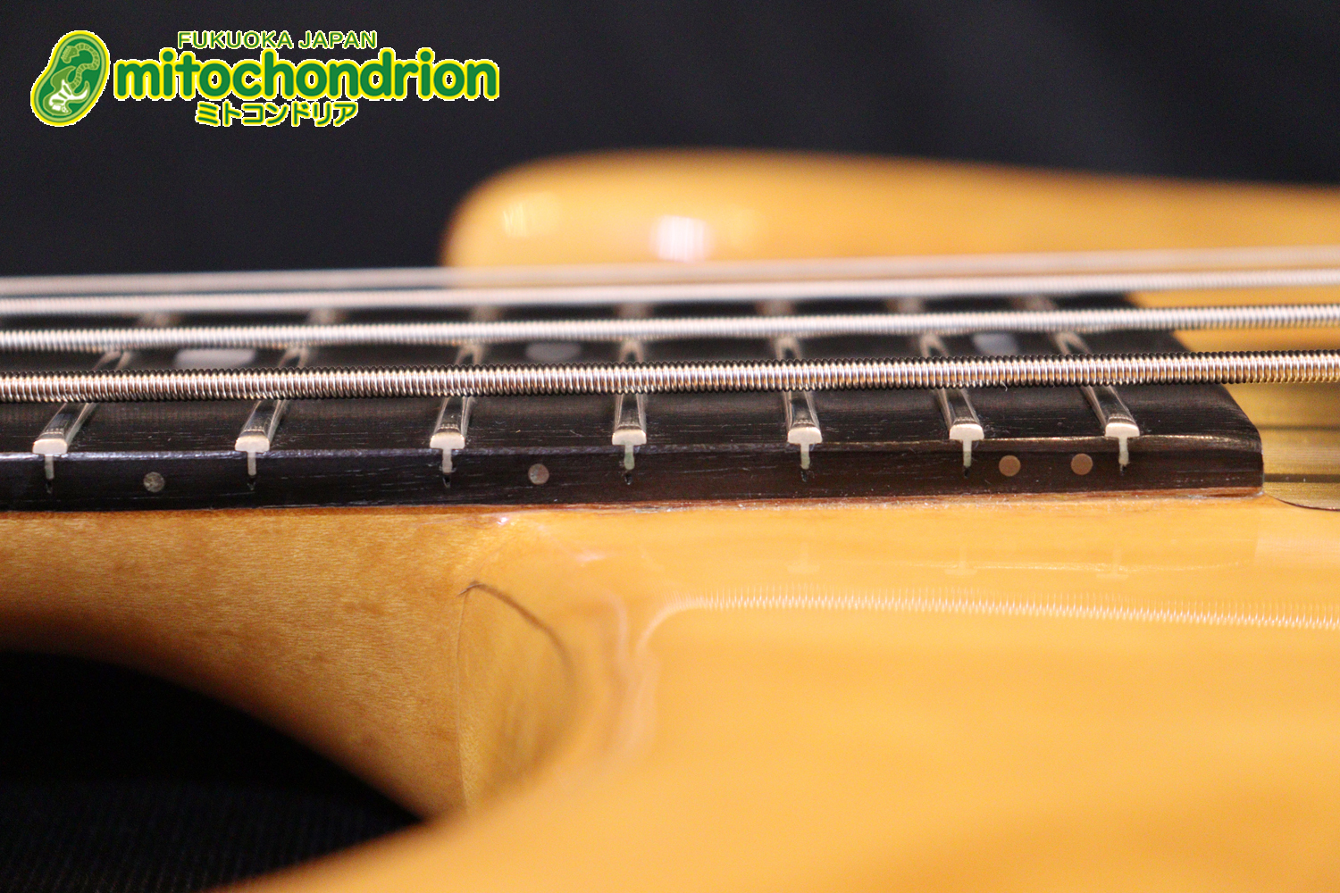 さすがのコストパフォーマンス！弾きやすさ、サウンドは抜群です！