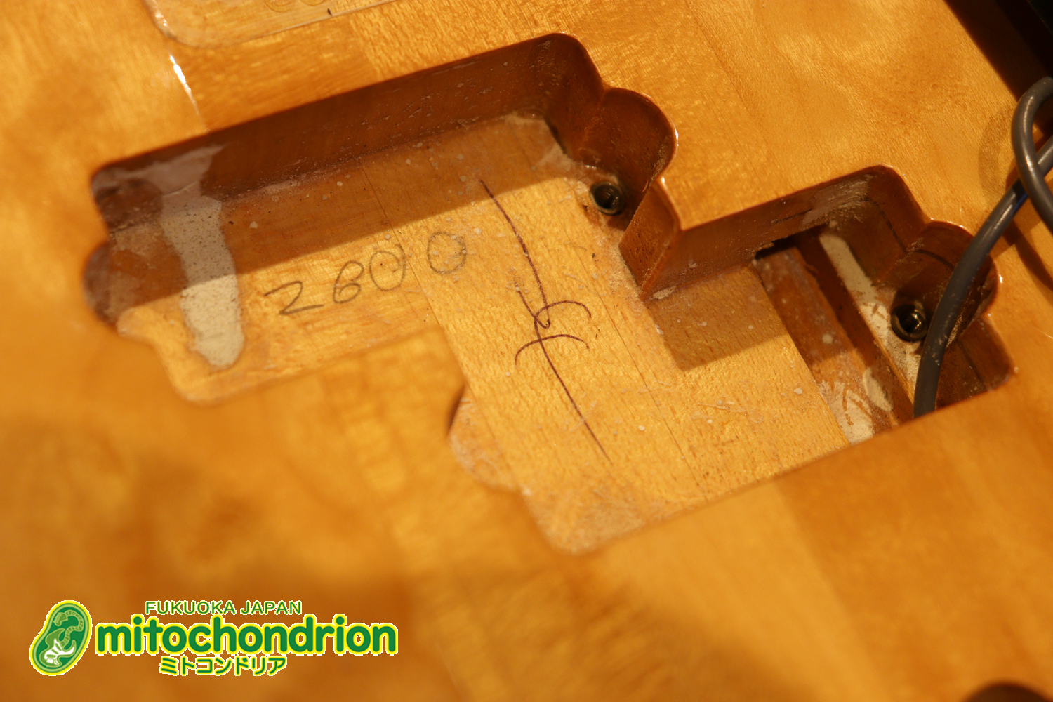 さすがのコストパフォーマンス！弾きやすさ、サウンドは抜群です！