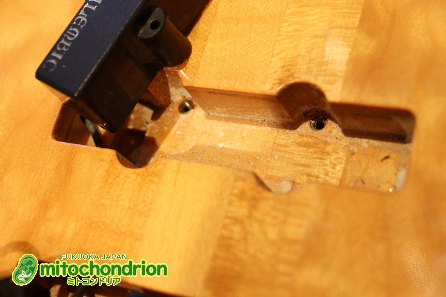 さすがのコストパフォーマンス！弾きやすさ、サウンドは抜群です！