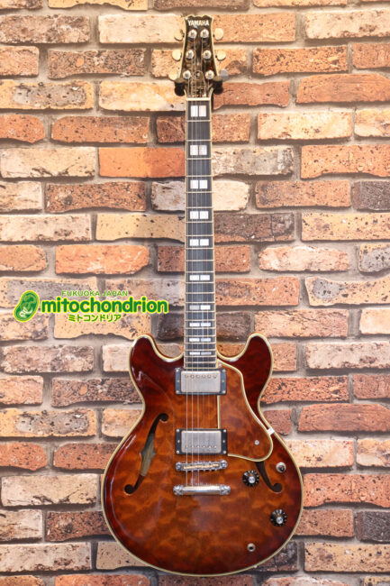 なんとティムショーP.A.F.搭載のセミアコ！キルテッドマホガニー！