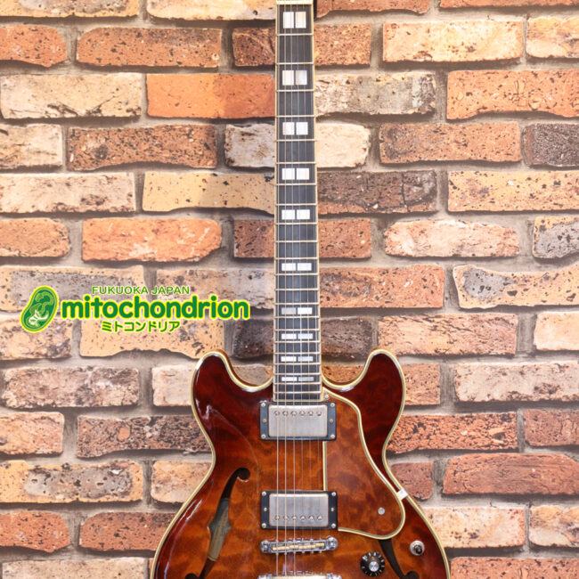 なんとティムショーP.A.F.搭載のセミアコ！キルテッドマホガニー！