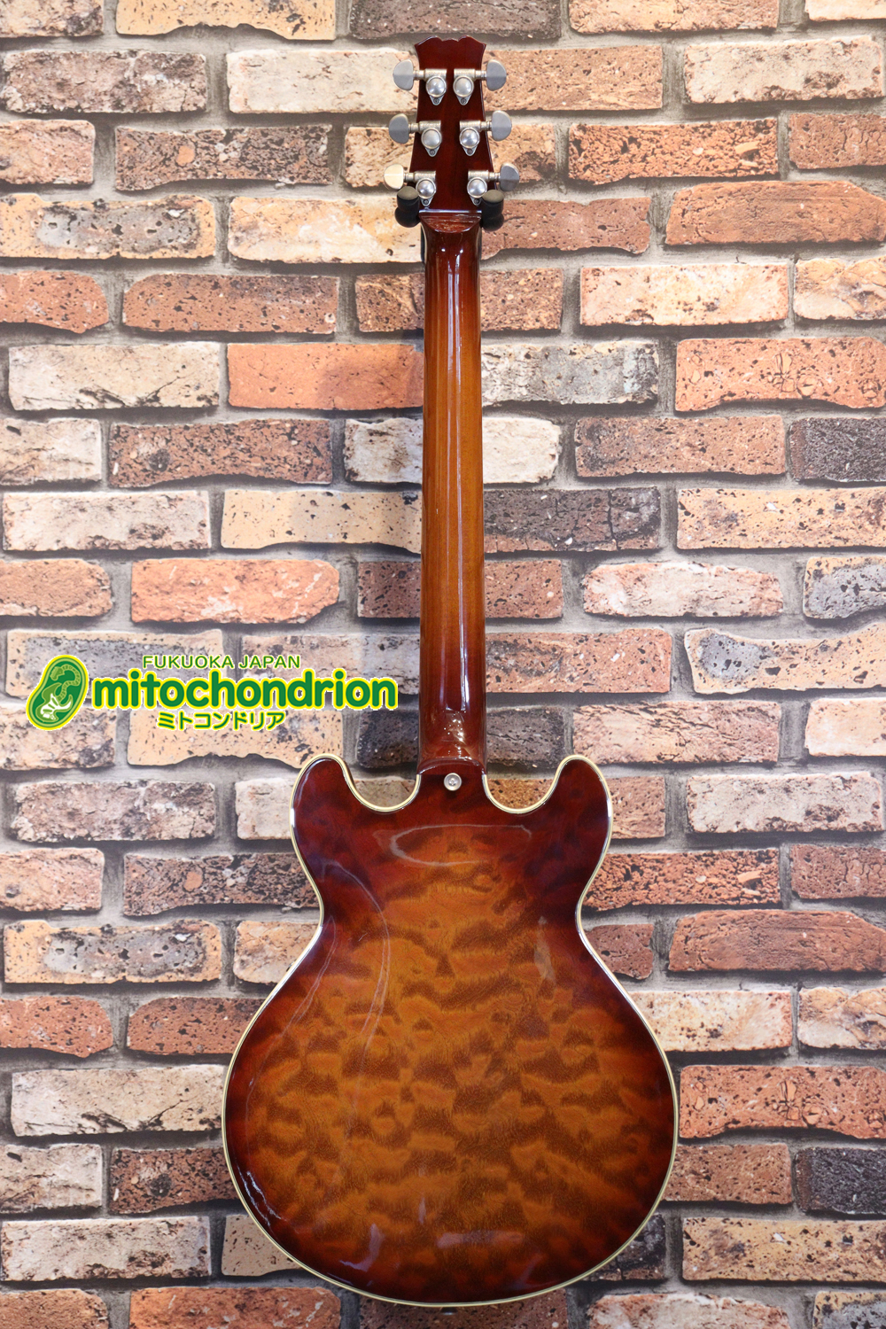 なんとティムショーP.A.F.搭載のセミアコ！キルテッドマホガニー！