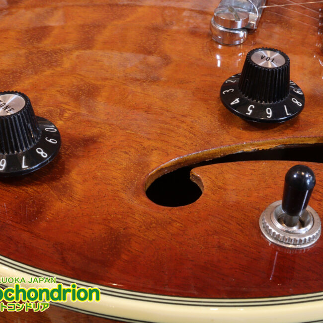 なんとティムショーP.A.F.搭載のセミアコ！キルテッドマホガニー！