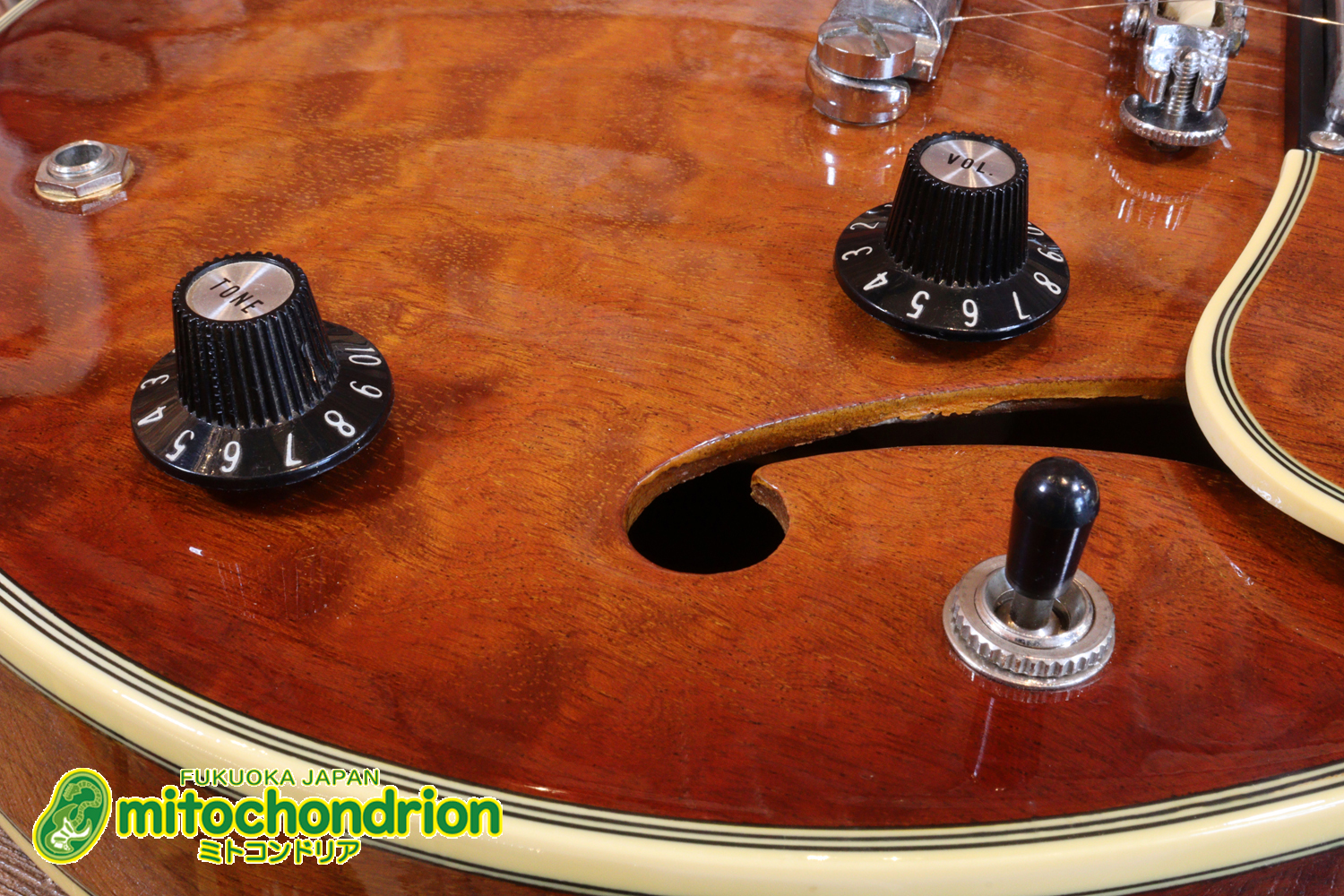 なんとティムショーP.A.F.搭載のセミアコ！キルテッドマホガニー！