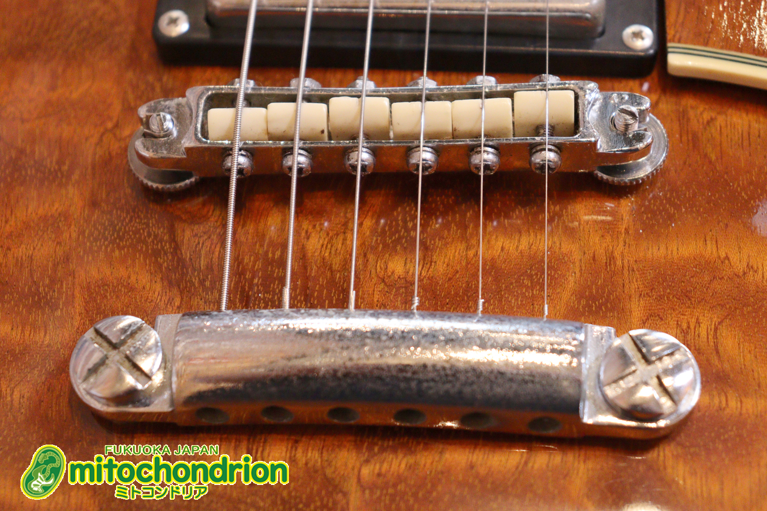 なんとティムショーP.A.F.搭載のセミアコ！キルテッドマホガニー！