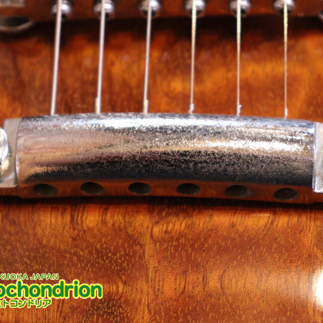 なんとティムショーP.A.F.搭載のセミアコ！キルテッドマホガニー！