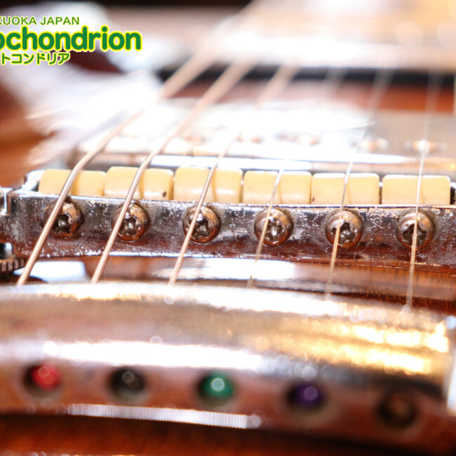 なんとティムショーP.A.F.搭載のセミアコ！キルテッドマホガニー！