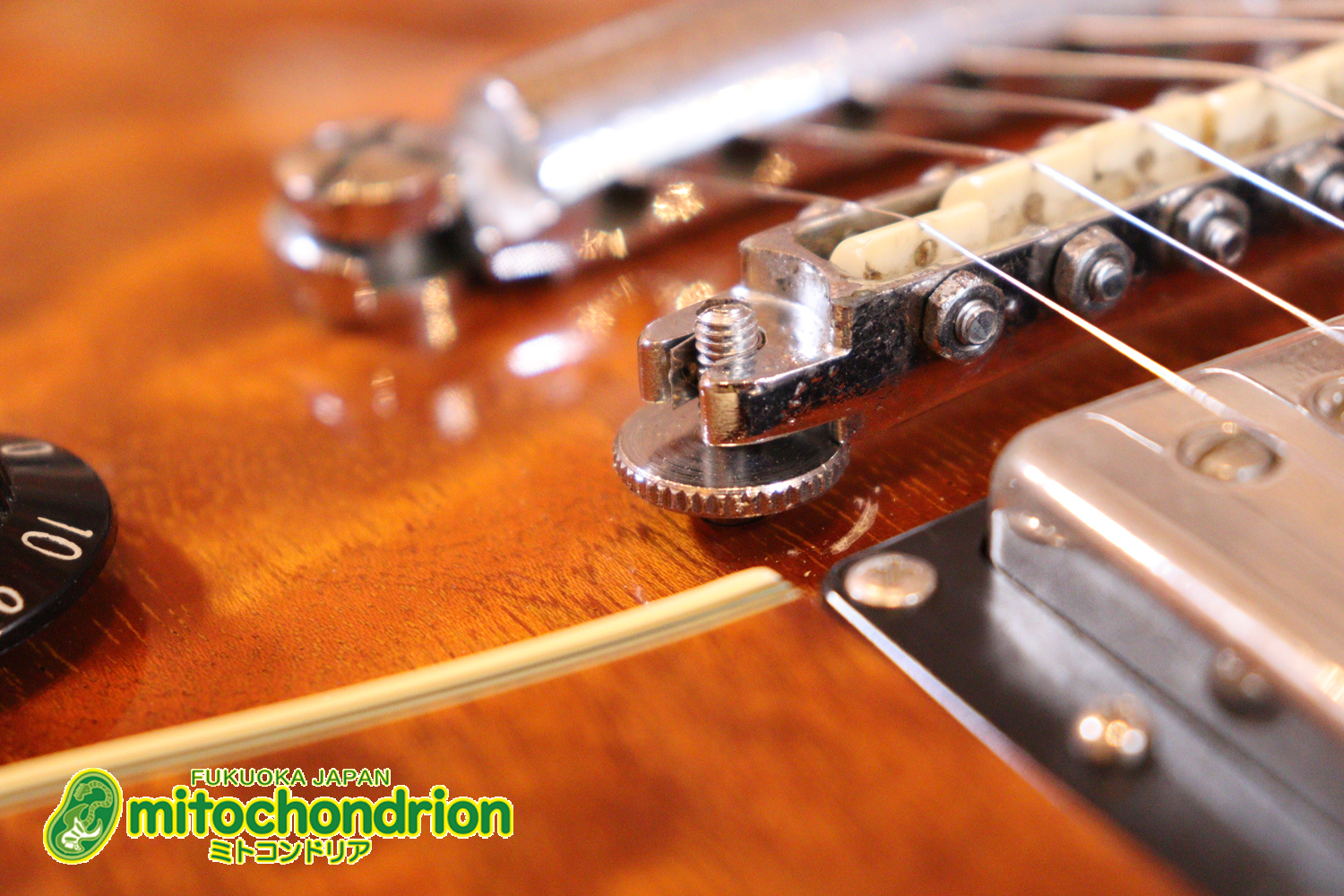 なんとティムショーP.A.F.搭載のセミアコ！キルテッドマホガニー！