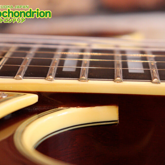 なんとティムショーP.A.F.搭載のセミアコ！キルテッドマホガニー！