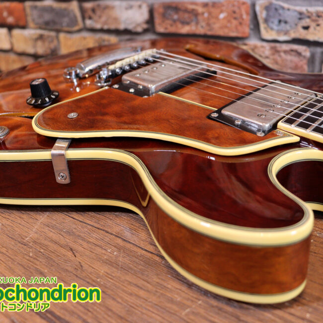 なんとティムショーP.A.F.搭載のセミアコ！キルテッドマホガニー！