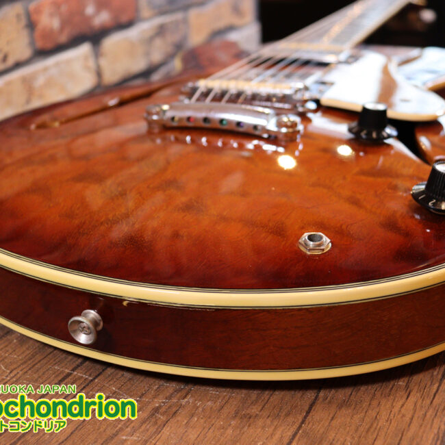 なんとティムショーP.A.F.搭載のセミアコ！キルテッドマホガニー！