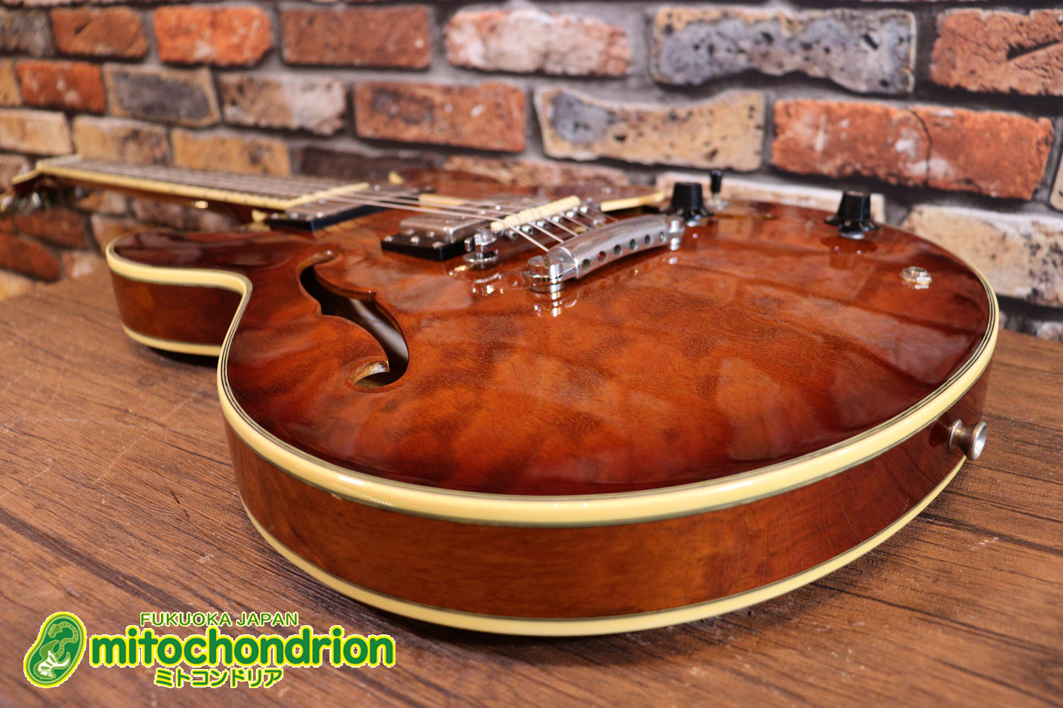 なんとティムショーP.A.F.搭載のセミアコ！キルテッドマホガニー！