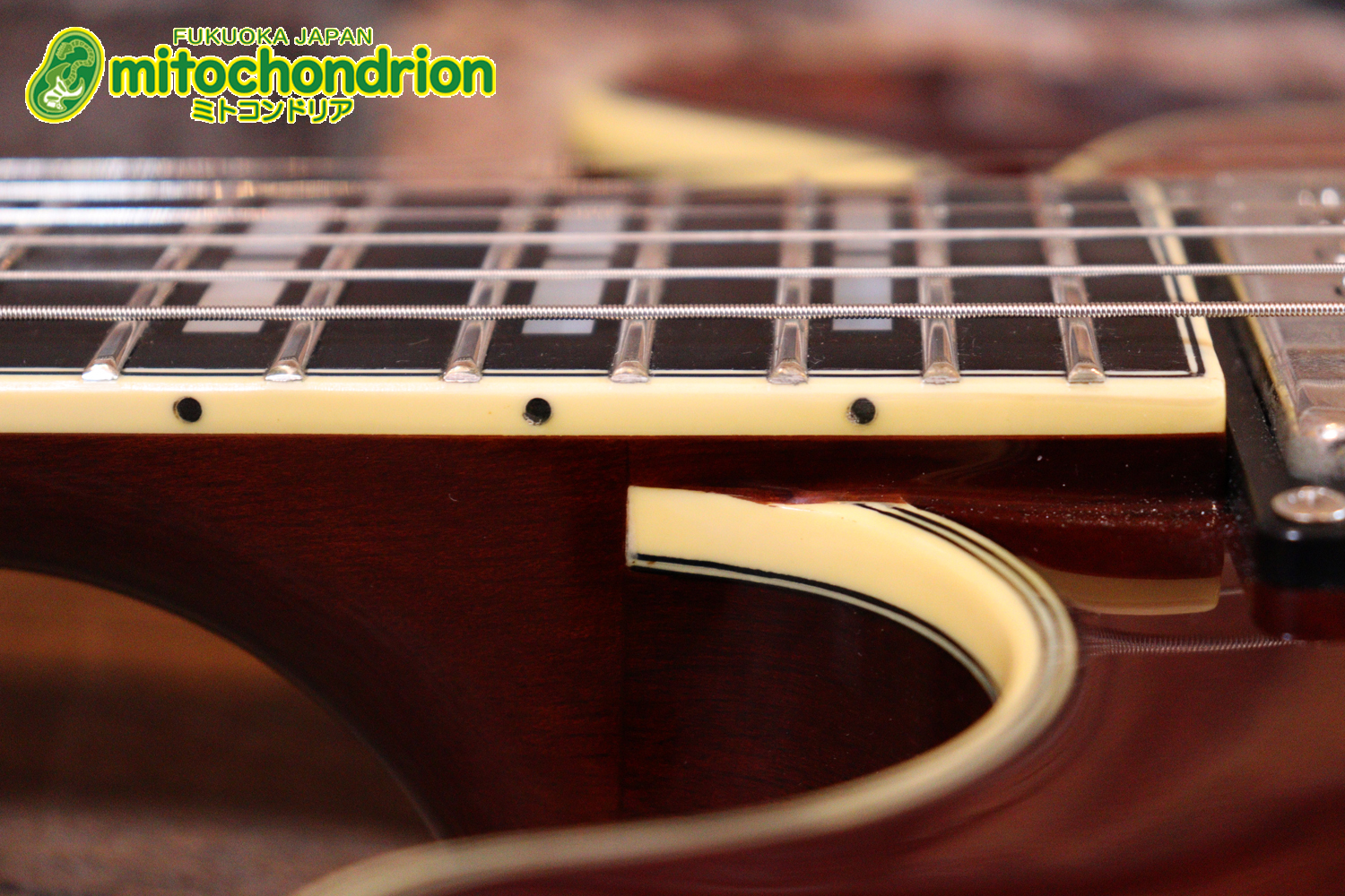 なんとティムショーP.A.F.搭載のセミアコ！キルテッドマホガニー！