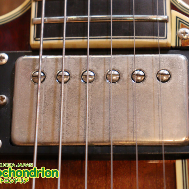 なんとティムショーP.A.F.搭載のセミアコ！キルテッドマホガニー！