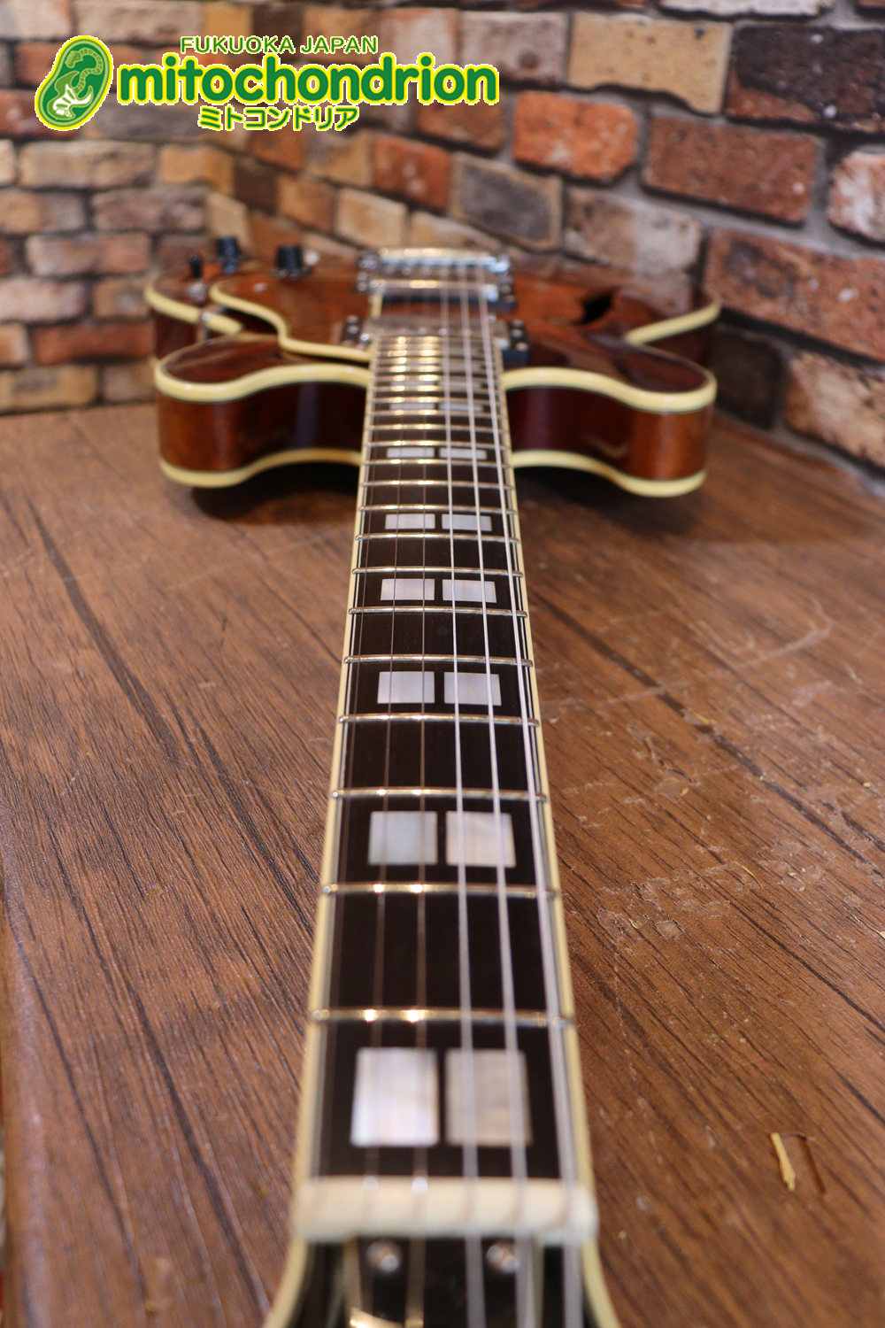 なんとティムショーP.A.F.搭載のセミアコ！キルテッドマホガニー！