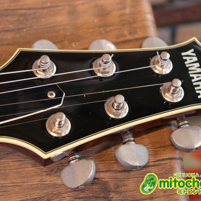 なんとティムショーP.A.F.搭載のセミアコ！キルテッドマホガニー！