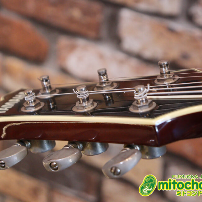 なんとティムショーP.A.F.搭載のセミアコ！キルテッドマホガニー！