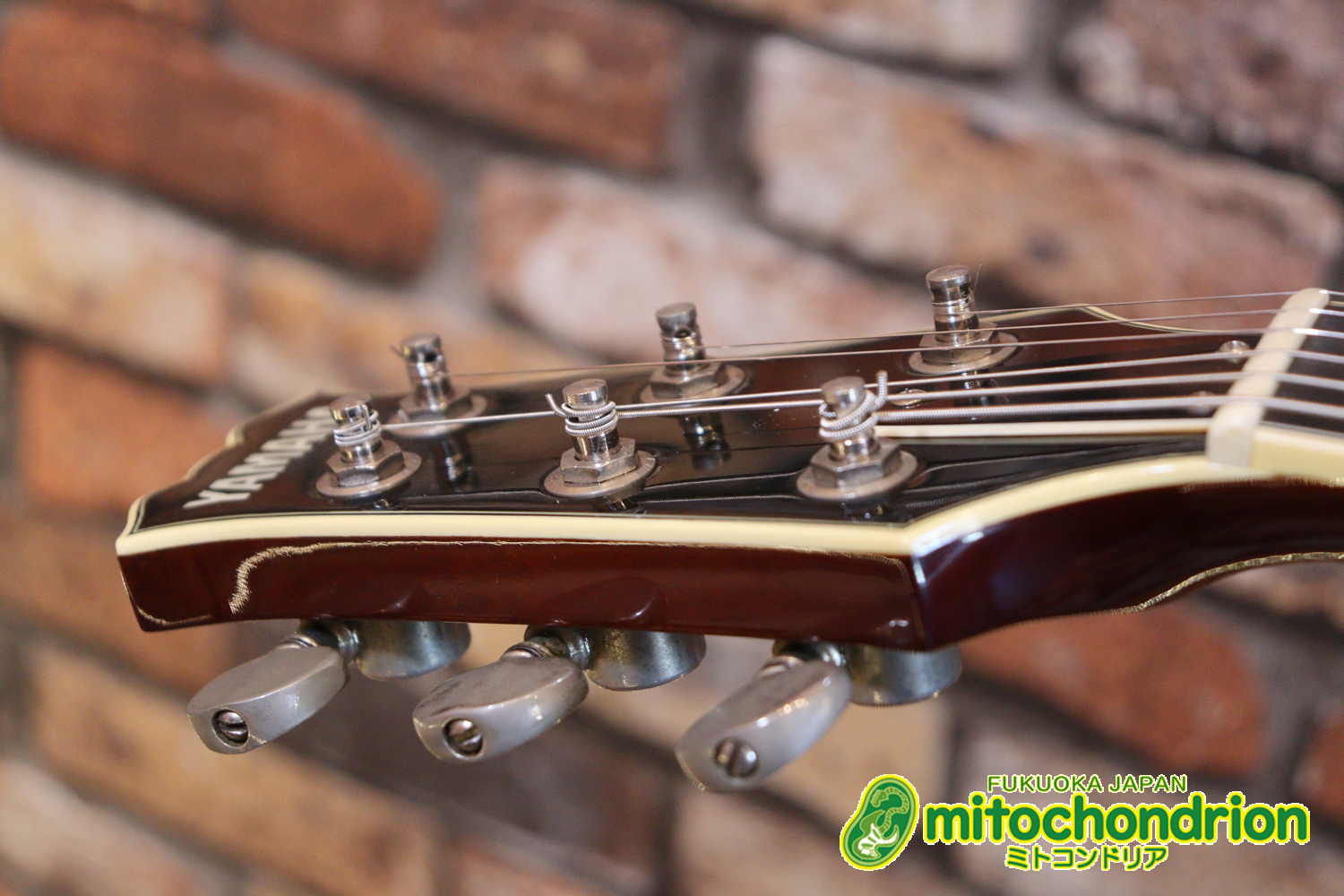 なんとティムショーP.A.F.搭載のセミアコ！キルテッドマホガニー！