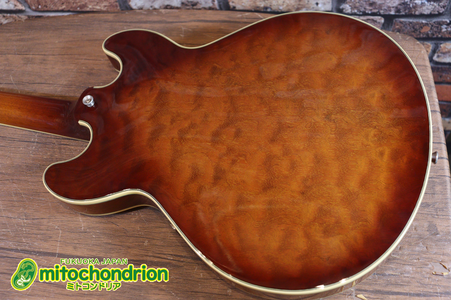 なんとティムショーP.A.F.搭載のセミアコ！キルテッドマホガニー！