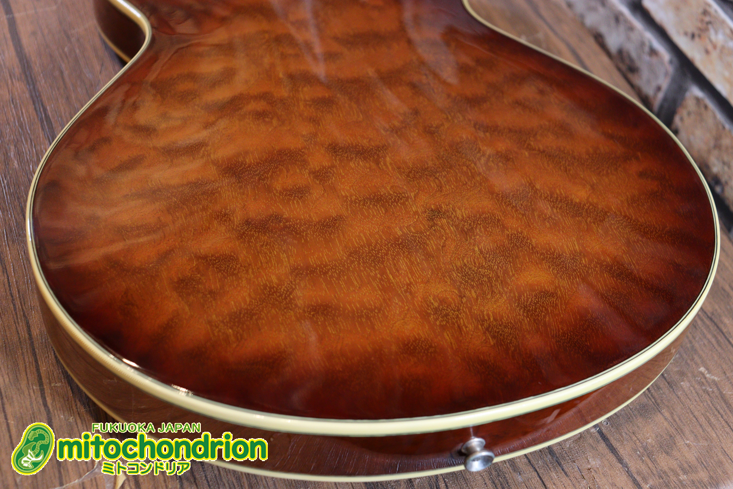 なんとティムショーP.A.F.搭載のセミアコ！キルテッドマホガニー！