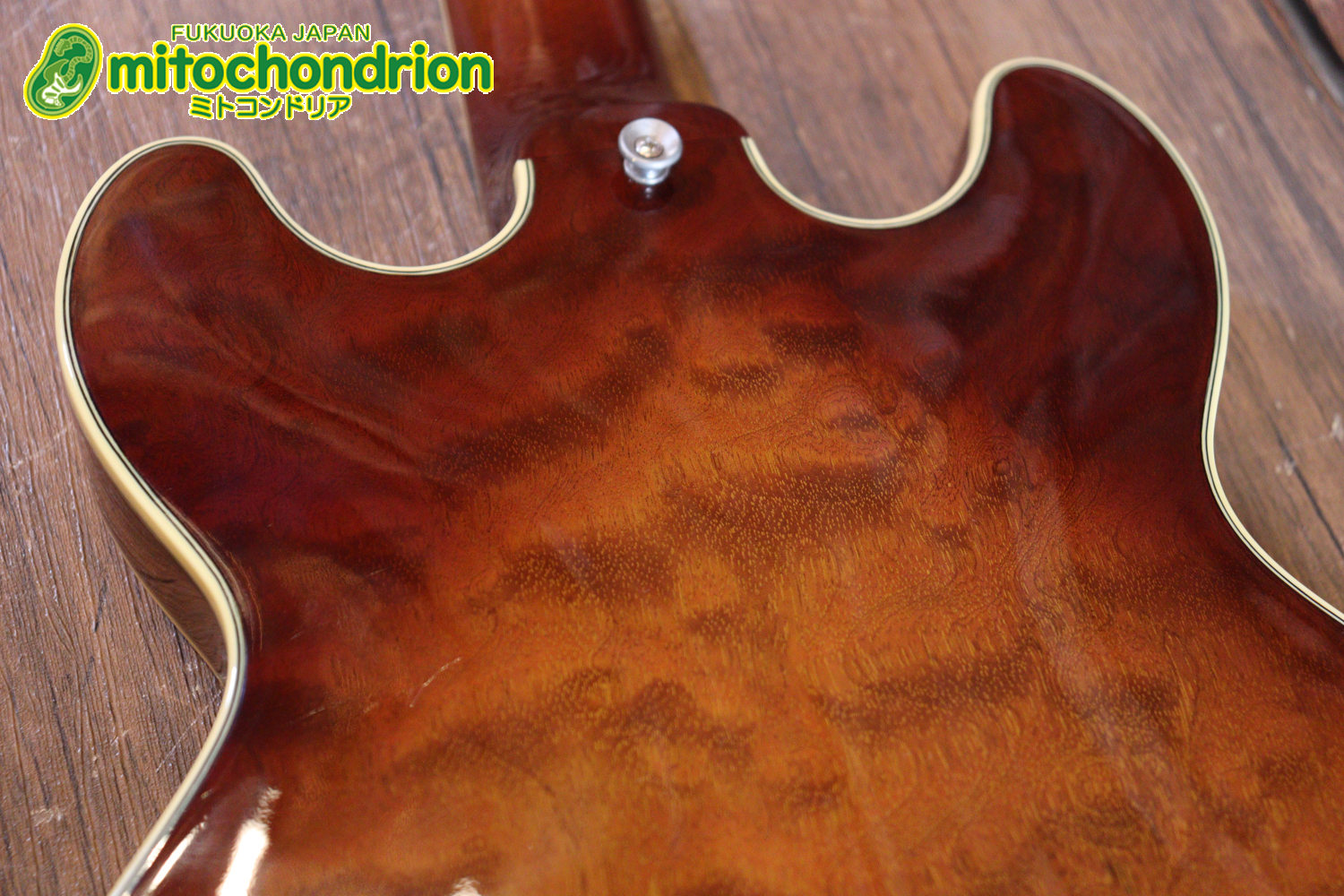 なんとティムショーP.A.F.搭載のセミアコ！キルテッドマホガニー！