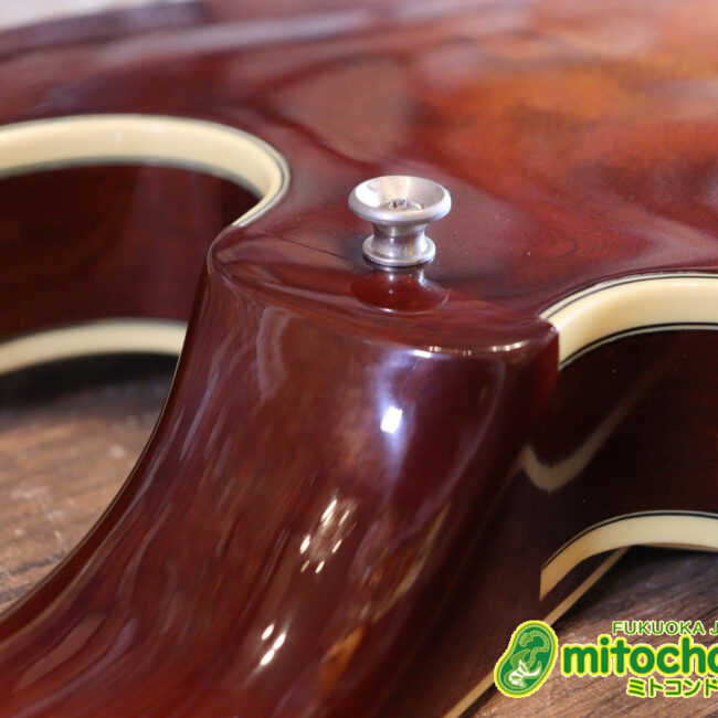 なんとティムショーP.A.F.搭載のセミアコ！キルテッドマホガニー！