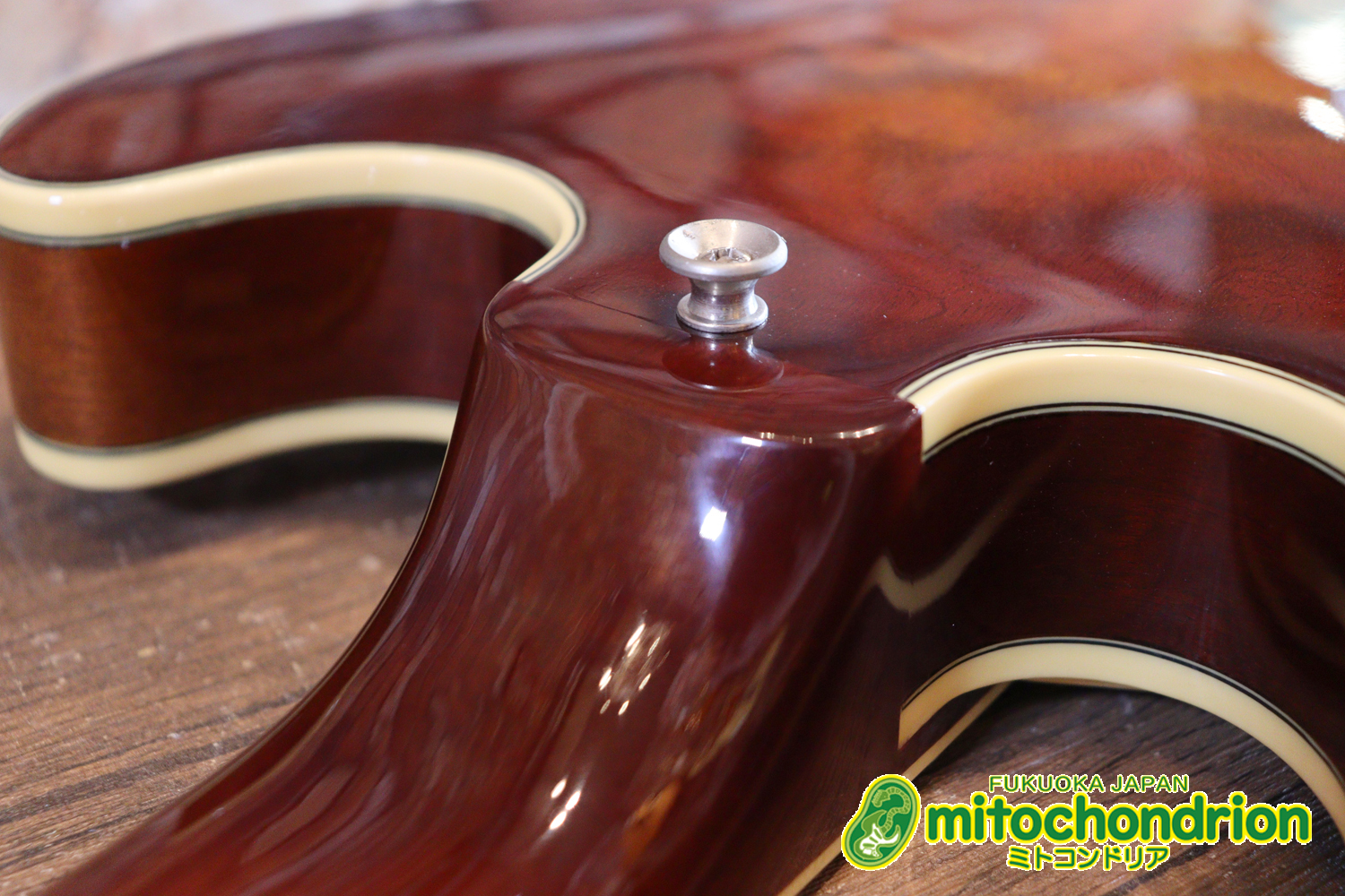 なんとティムショーP.A.F.搭載のセミアコ！キルテッドマホガニー！