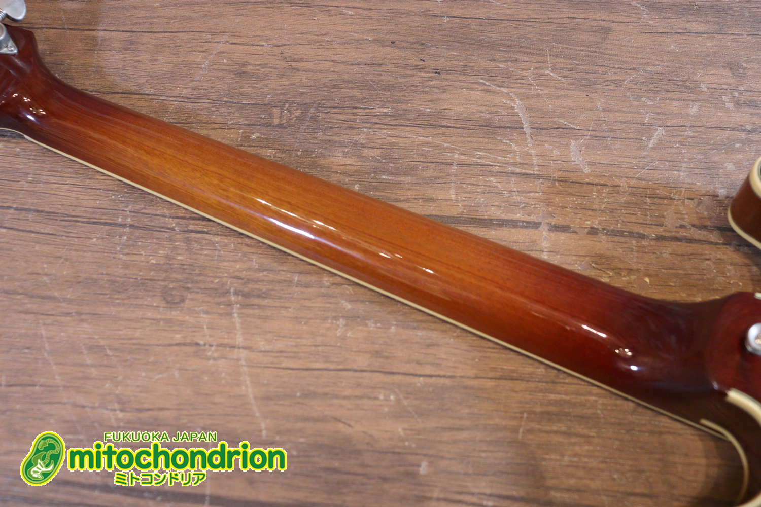 なんとティムショーP.A.F.搭載のセミアコ！キルテッドマホガニー！