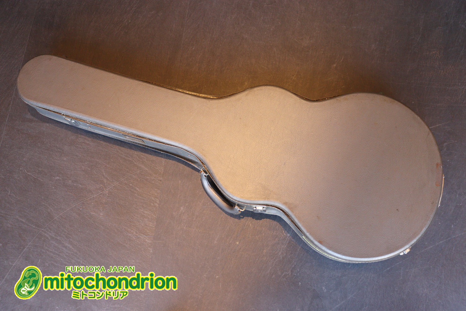 なんとティムショーP.A.F.搭載のセミアコ！キルテッドマホガニー！