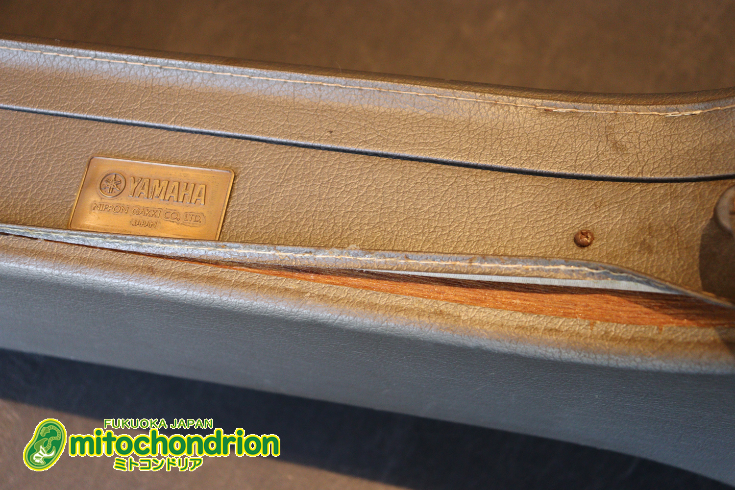 なんとティムショーP.A.F.搭載のセミアコ！キルテッドマホガニー！