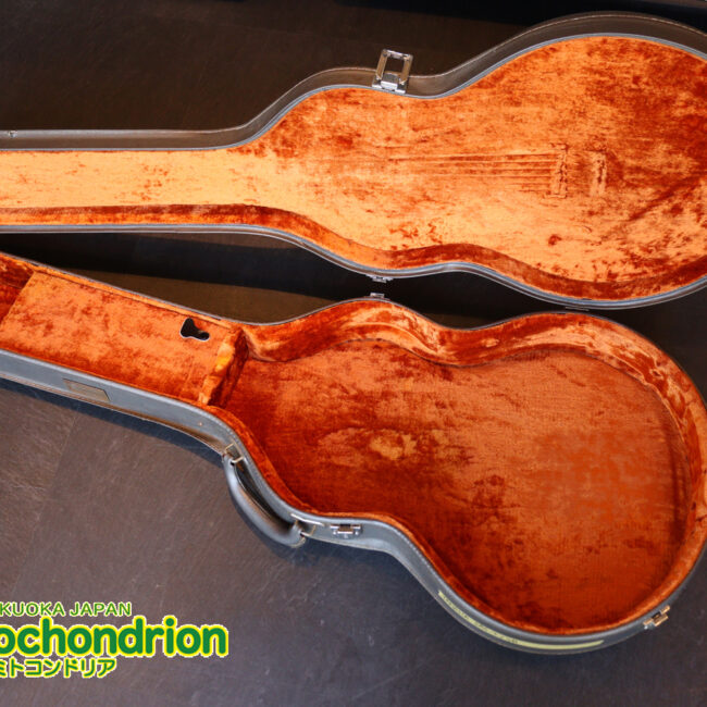 なんとティムショーP.A.F.搭載のセミアコ！キルテッドマホガニー！