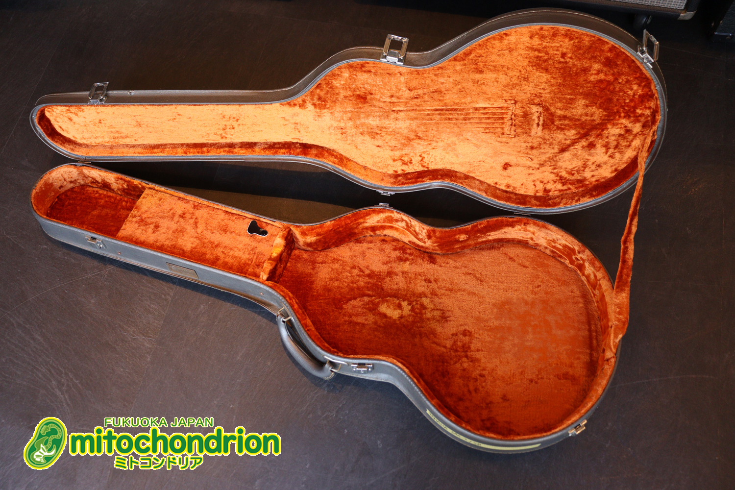 なんとティムショーP.A.F.搭載のセミアコ！キルテッドマホガニー！