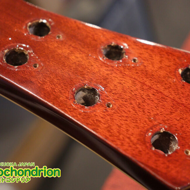 なんとティムショーP.A.F.搭載のセミアコ！キルテッドマホガニー！