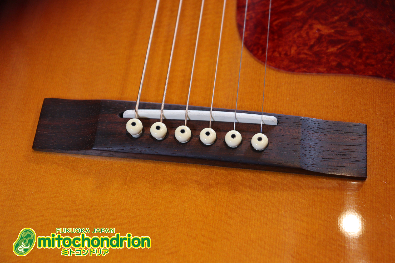 小ぶりなボディーでお馴染みL-00のエピフォンバージョンです！Gibsonヘッド！