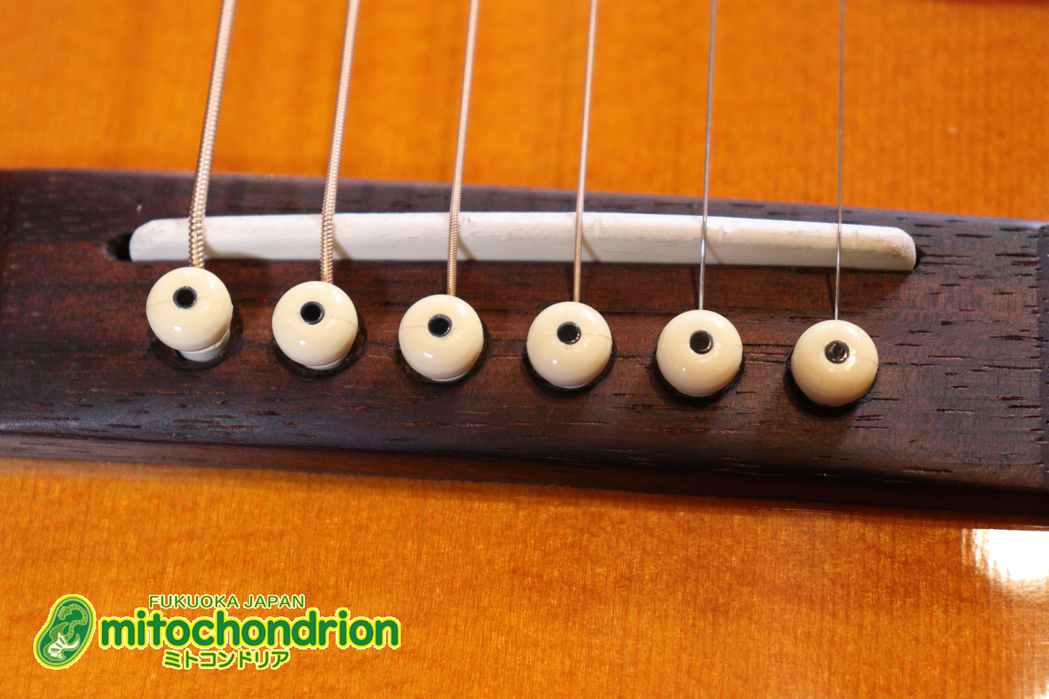 小ぶりなボディーでお馴染みL-00のエピフォンバージョンです！Gibsonヘッド！