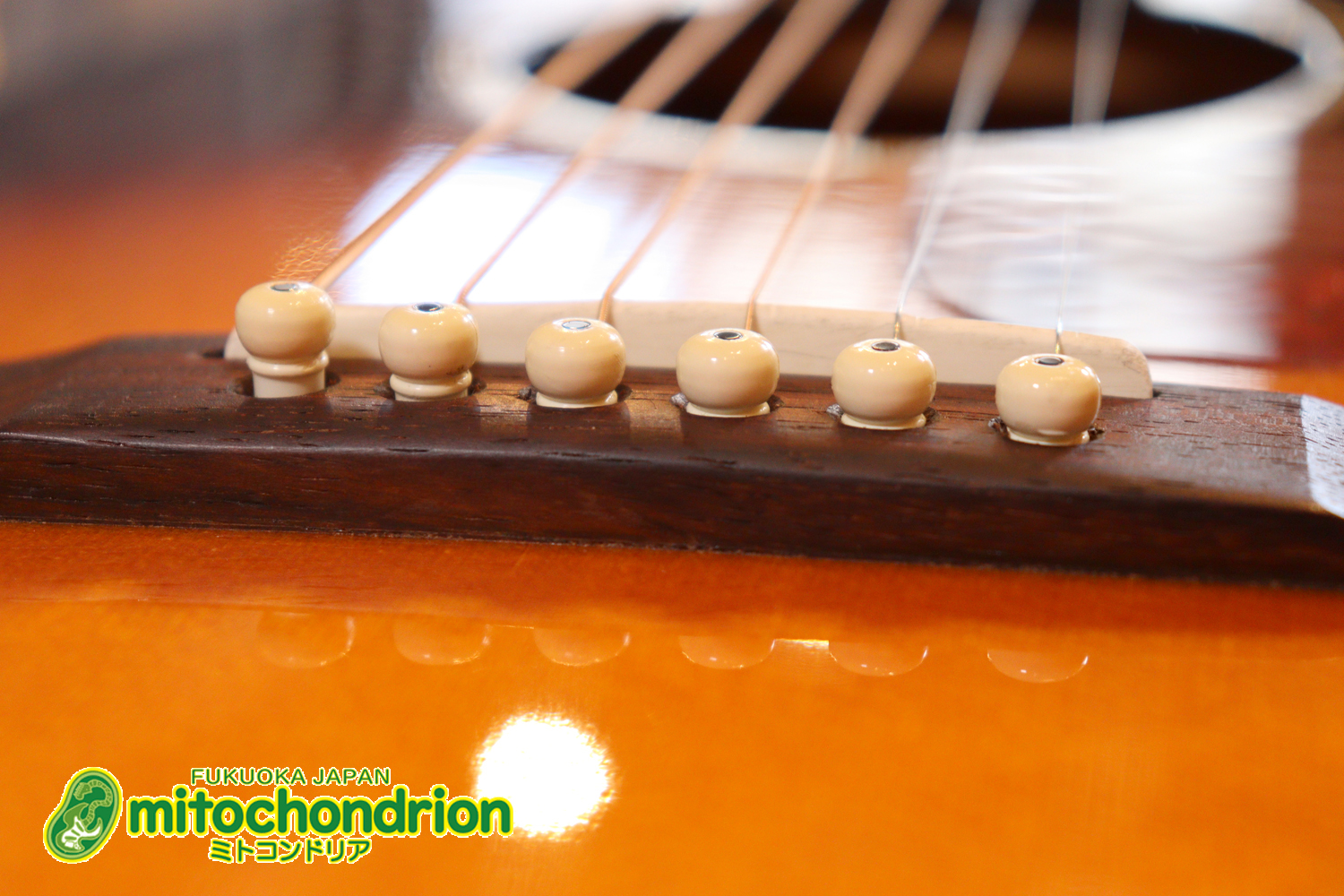 小ぶりなボディーでお馴染みL-00のエピフォンバージョンです！Gibsonヘッド！