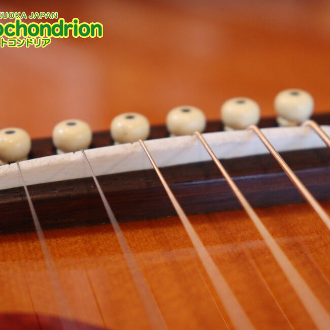 小ぶりなボディーでお馴染みL-00のエピフォンバージョンです！Gibsonヘッド！