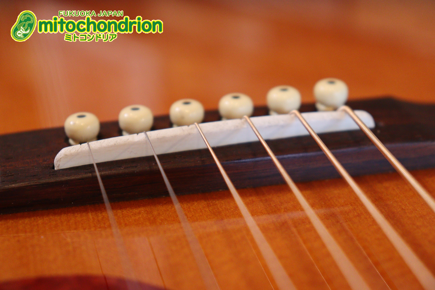 小ぶりなボディーでお馴染みL-00のエピフォンバージョンです！Gibsonヘッド！