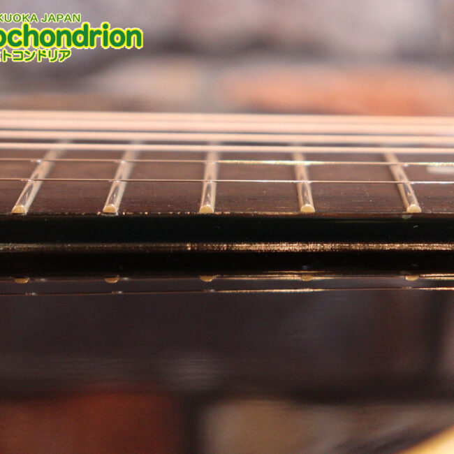 小ぶりなボディーでお馴染みL-00のエピフォンバージョンです！Gibsonヘッド！