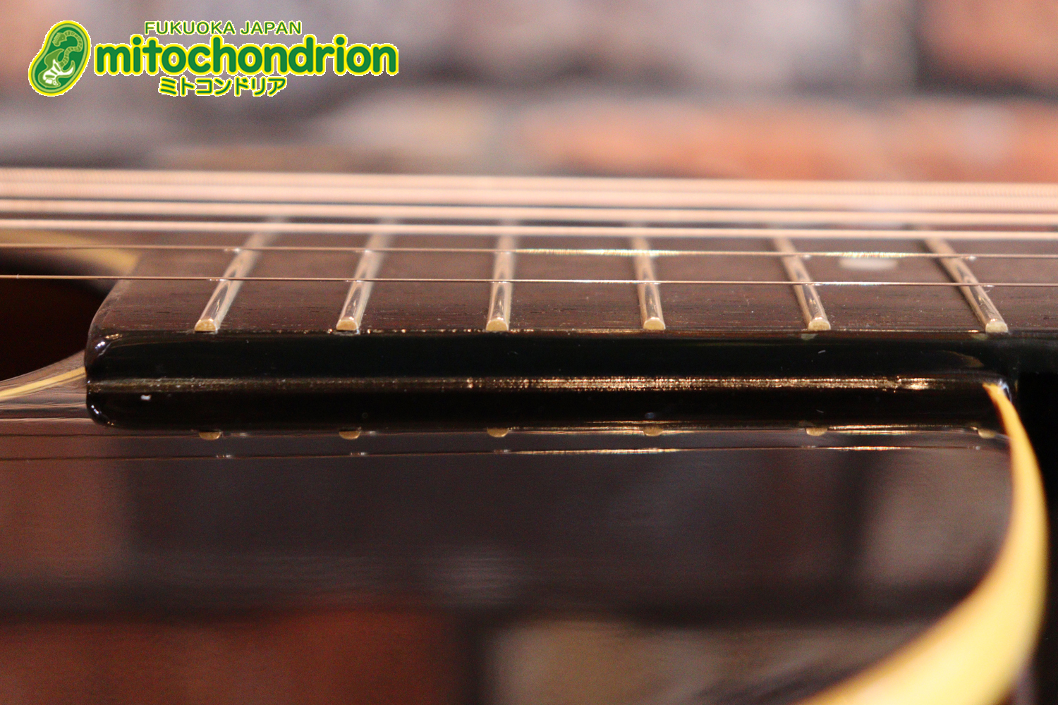 小ぶりなボディーでお馴染みL-00のエピフォンバージョンです！Gibsonヘッド！