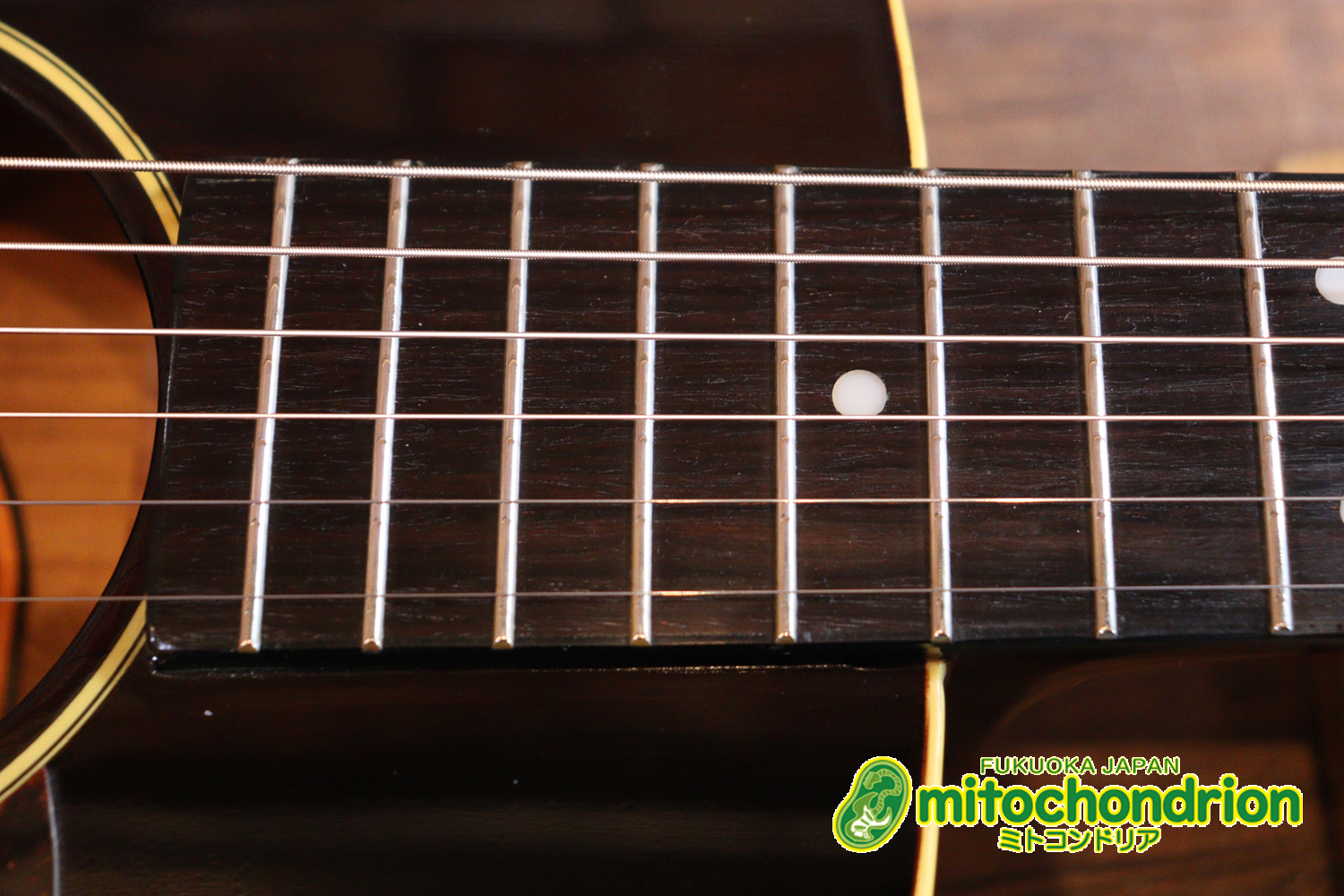 小ぶりなボディーでお馴染みL-00のエピフォンバージョンです！Gibsonヘッド！