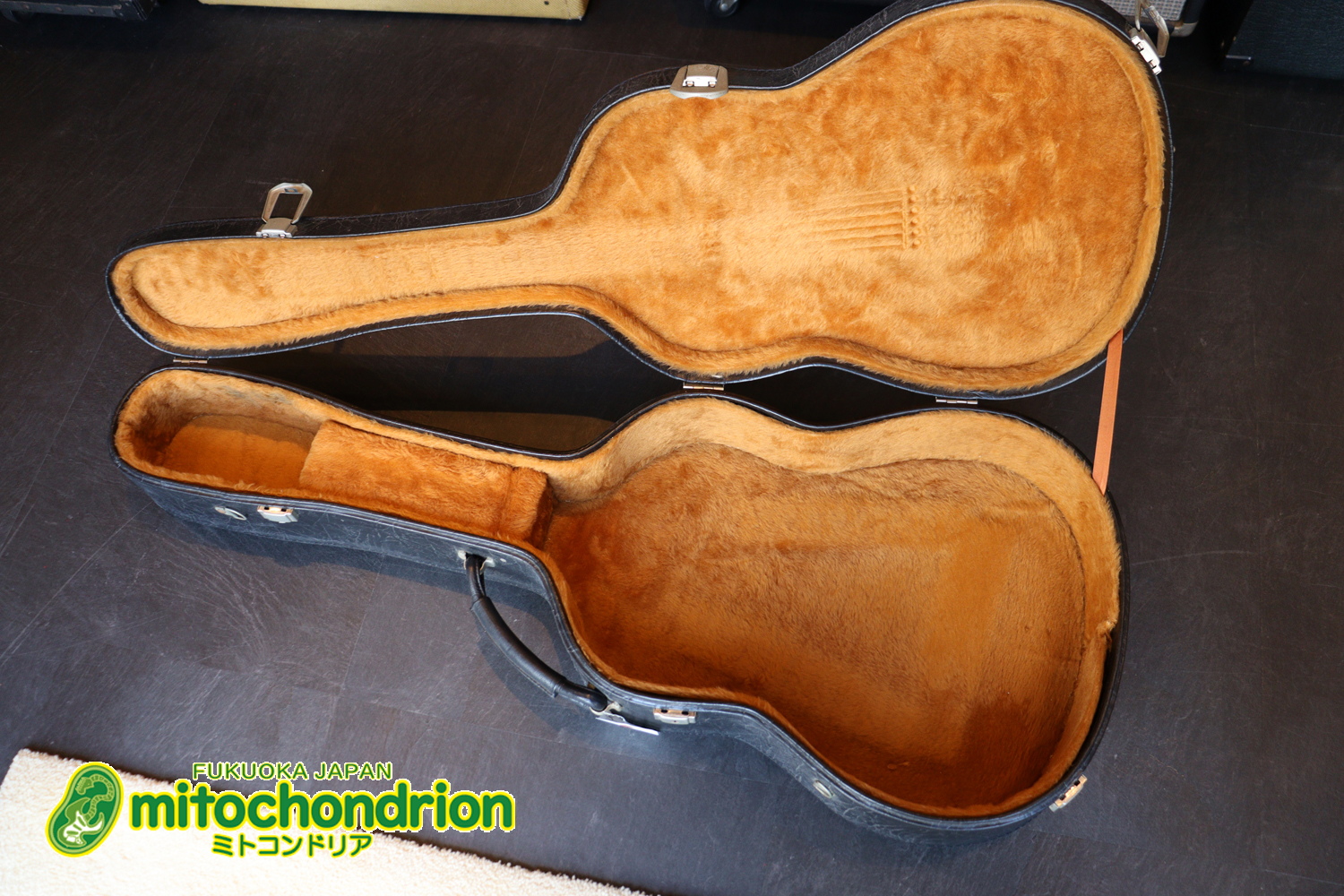 小ぶりなボディーでお馴染みL-00のエピフォンバージョンです！Gibsonヘッド！