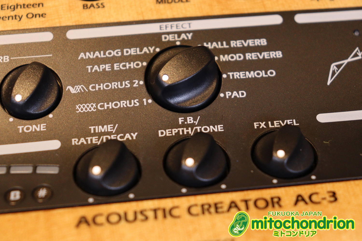 アコースティック用のプリアンプ、エフェクター、アコースティックモデリングを搭載！チューナー付！